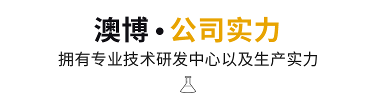公司实力